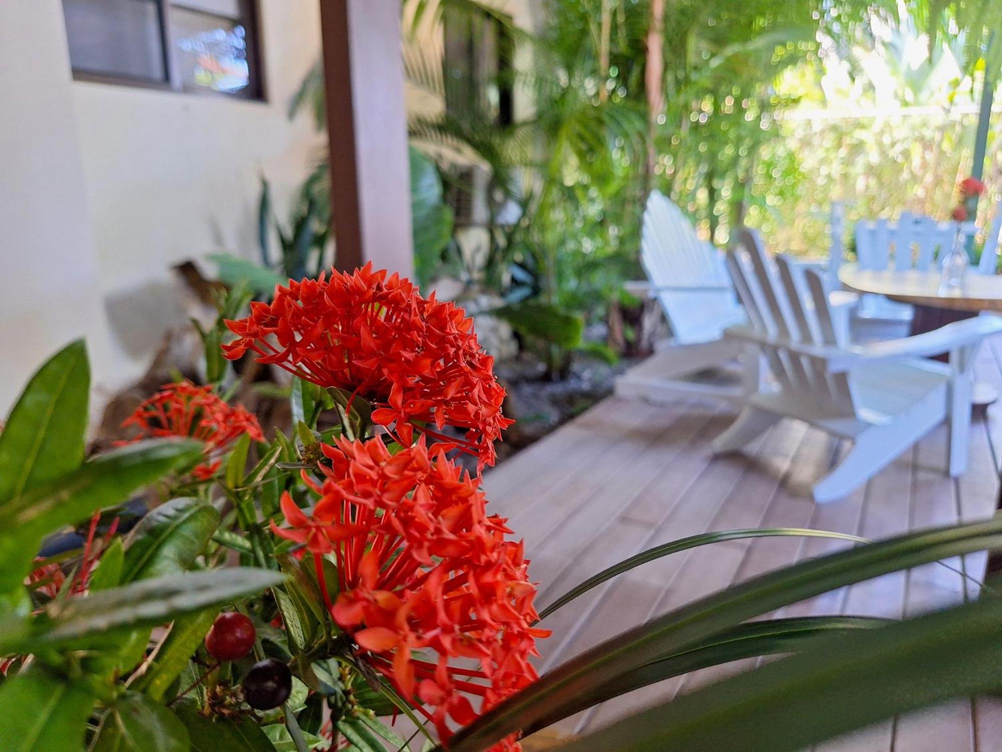 Infiniti Hotel Puerto Viejo de Talamanca Kültér fotó
